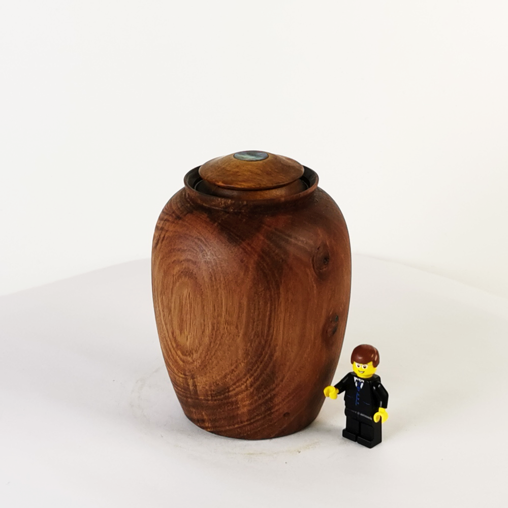 Display Mini