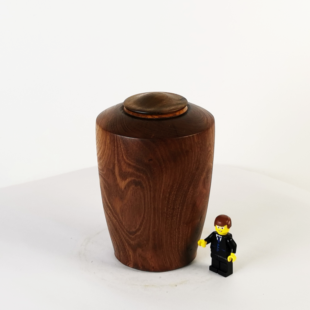 Display Mini