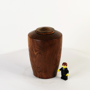 Display Mini