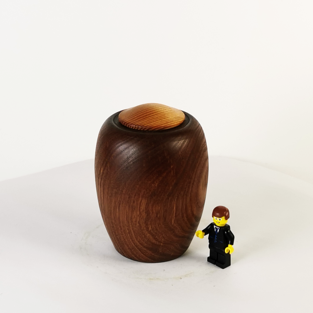 Display Mini