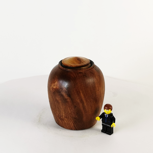 Display Mini