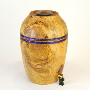 Aranga