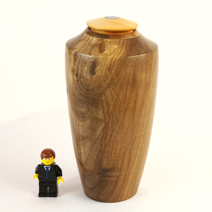 Display/Keepsake Mini- Puriri/Cypress/Paua 2501061