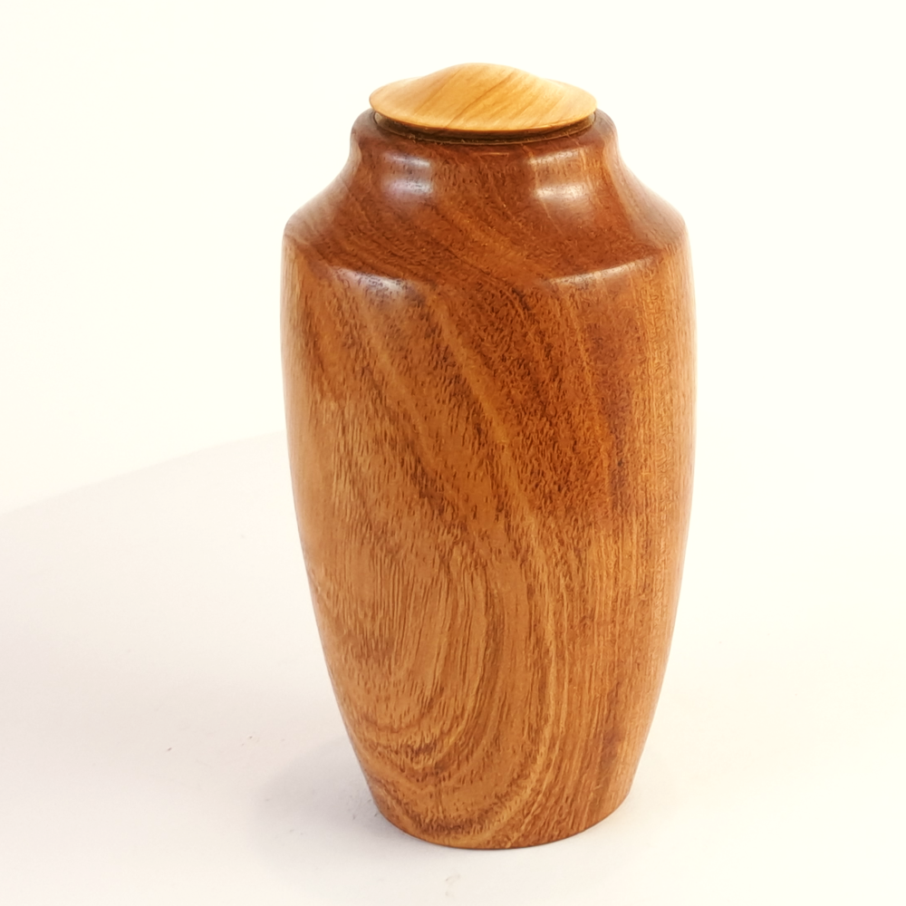 Display/Keepsake Mini- Pohutukawa/Cypress 2501062