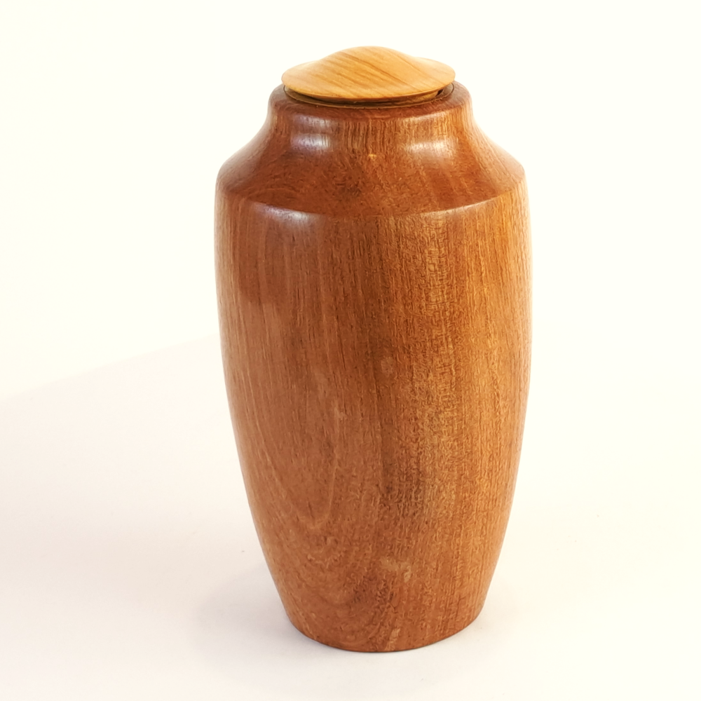 Display/Keepsake Mini- Pohutukawa/Cypress 2501062