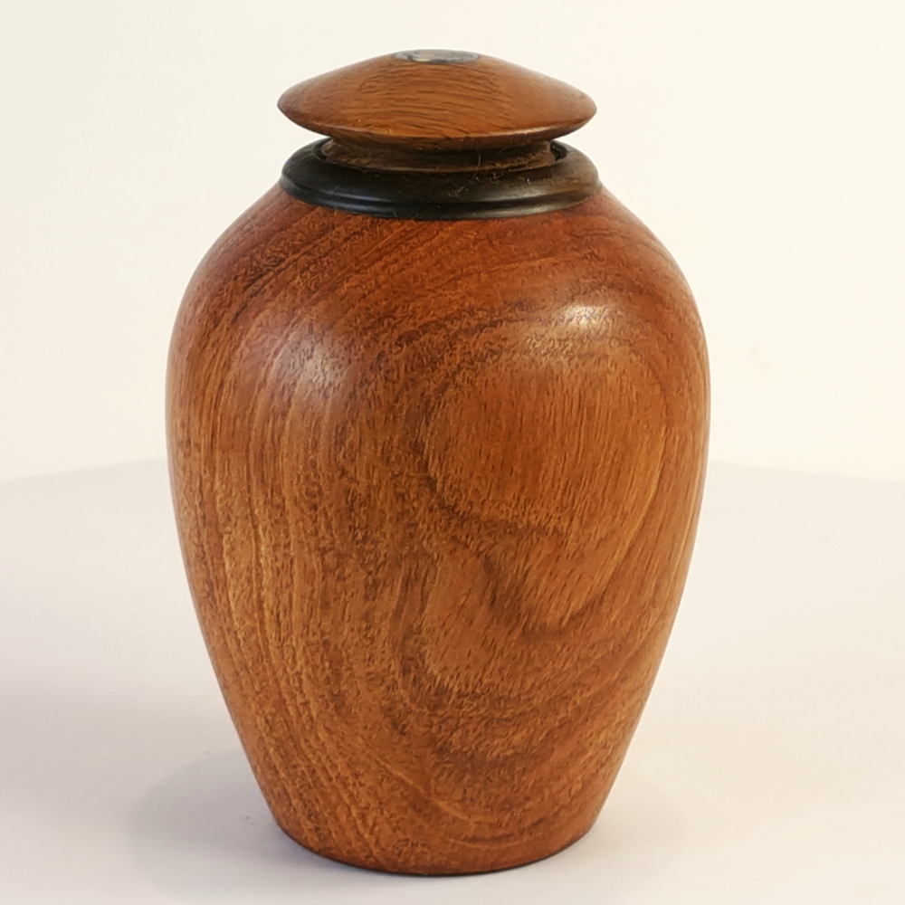 Display/Keepsake Mini- Pohutukawa, Eucalypt, Paua #2502001