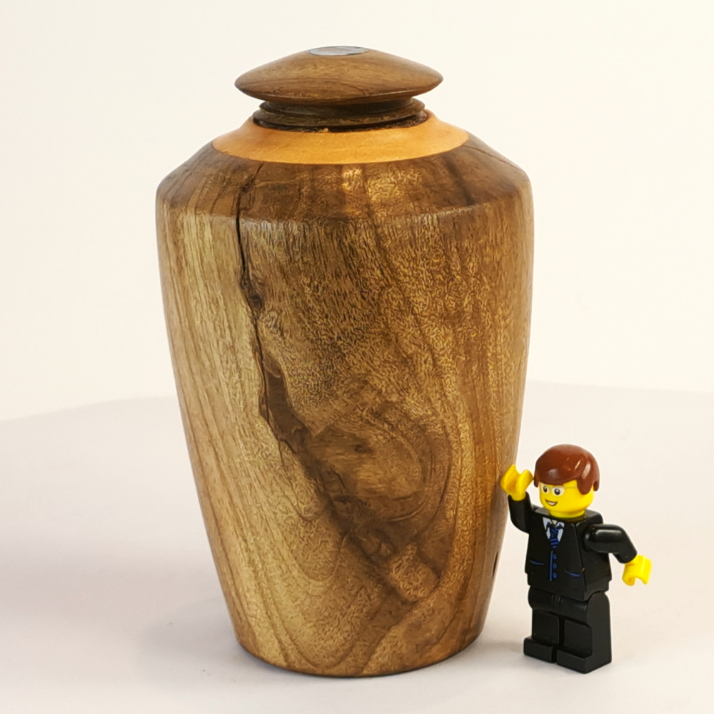 Display/Keepsake Mini- Puriri, Cypress, Paua #2502002