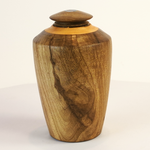 Load image into Gallery viewer, Display/Keepsake Mini- Puriri, Cypress, Paua #2502002
