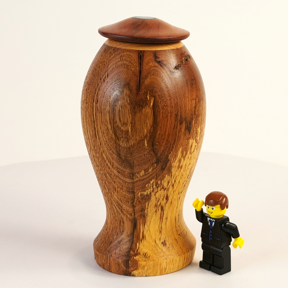 Display/Keepsake Mini- Manuka, Totara, Paua #2502006