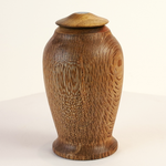 Load image into Gallery viewer, Display/Keepsake Mini- Rewarewa, Puriri, Paua #2502011
