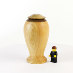 Load image into Gallery viewer, Display/Keepsake Mini-  Cypress Kahaikatea Paua  2502019
