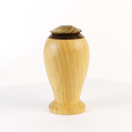 Load image into Gallery viewer, Display/Keepsake Mini-  Cypress Kahaikatea Paua  2502019
