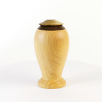 Load image into Gallery viewer, Display/Keepsake Mini-  Cypress Kahaikatea Paua  2502019
