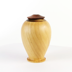 Load image into Gallery viewer, Display/Keepsake Mini- Cypress Totara Paua 2502030
