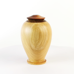 Load image into Gallery viewer, Display/Keepsake Mini- Cypress Totara Paua 2502030
