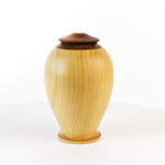 Load image into Gallery viewer, Display/Keepsake Mini- Cypress Totara Paua 2502030
