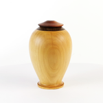 Load image into Gallery viewer, Display/Keepsake Mini- Cypress Totara Paua 2502030
