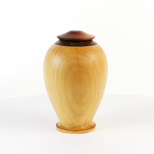Display/Keepsake Mini- Cypress Totara Paua 2502030