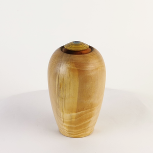 Display/Keepsake Mini- Manaia Kauri/Kahikatea/Paua #2502039