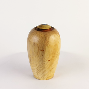 Display/Keepsake Mini- Manaia Kauri/Kahikatea/Paua #2502039