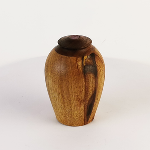 Display/Keepsake Mini- Taraire/Walnut/Paua #2502041