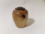 Load image into Gallery viewer, Display/Keepsake mini: Taraire, Puriri, Paua #2503001
