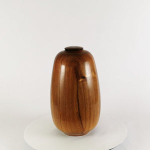 Tasman Jewel