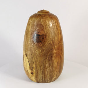 Sheoak Twist