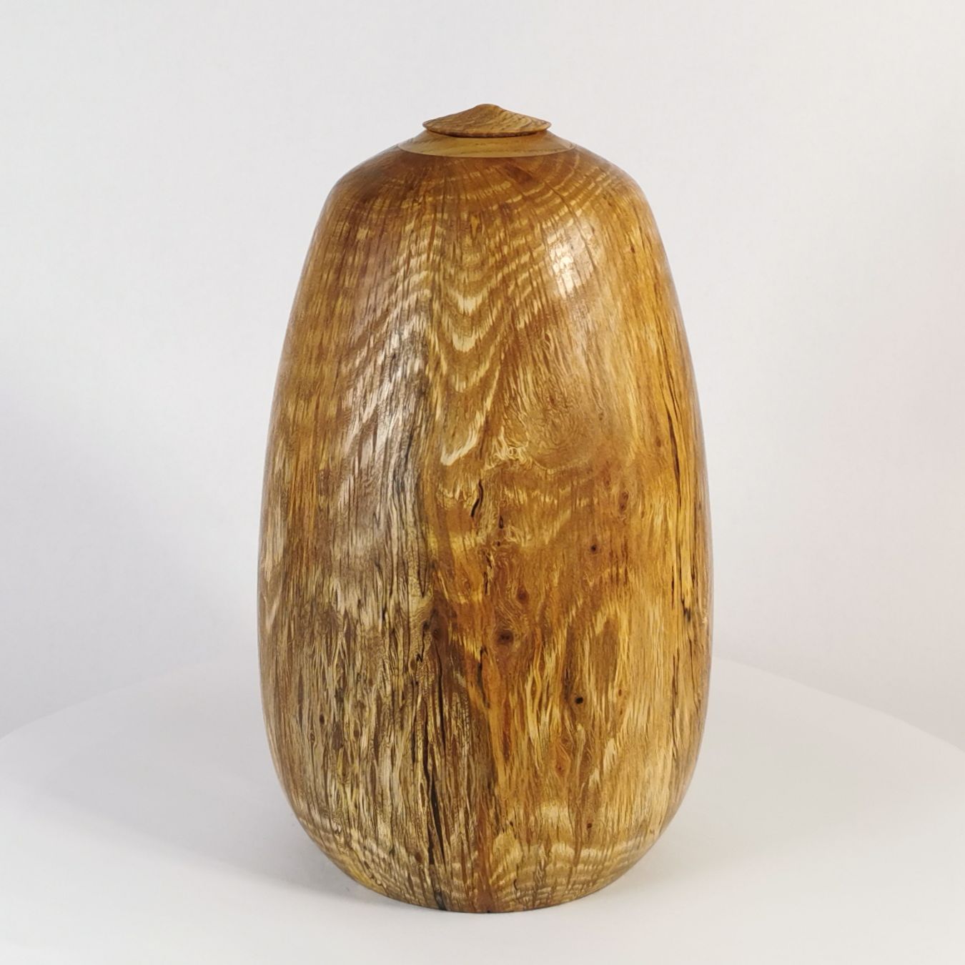 Sheoak Twist