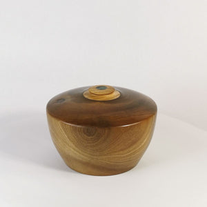 Puriri Pearl