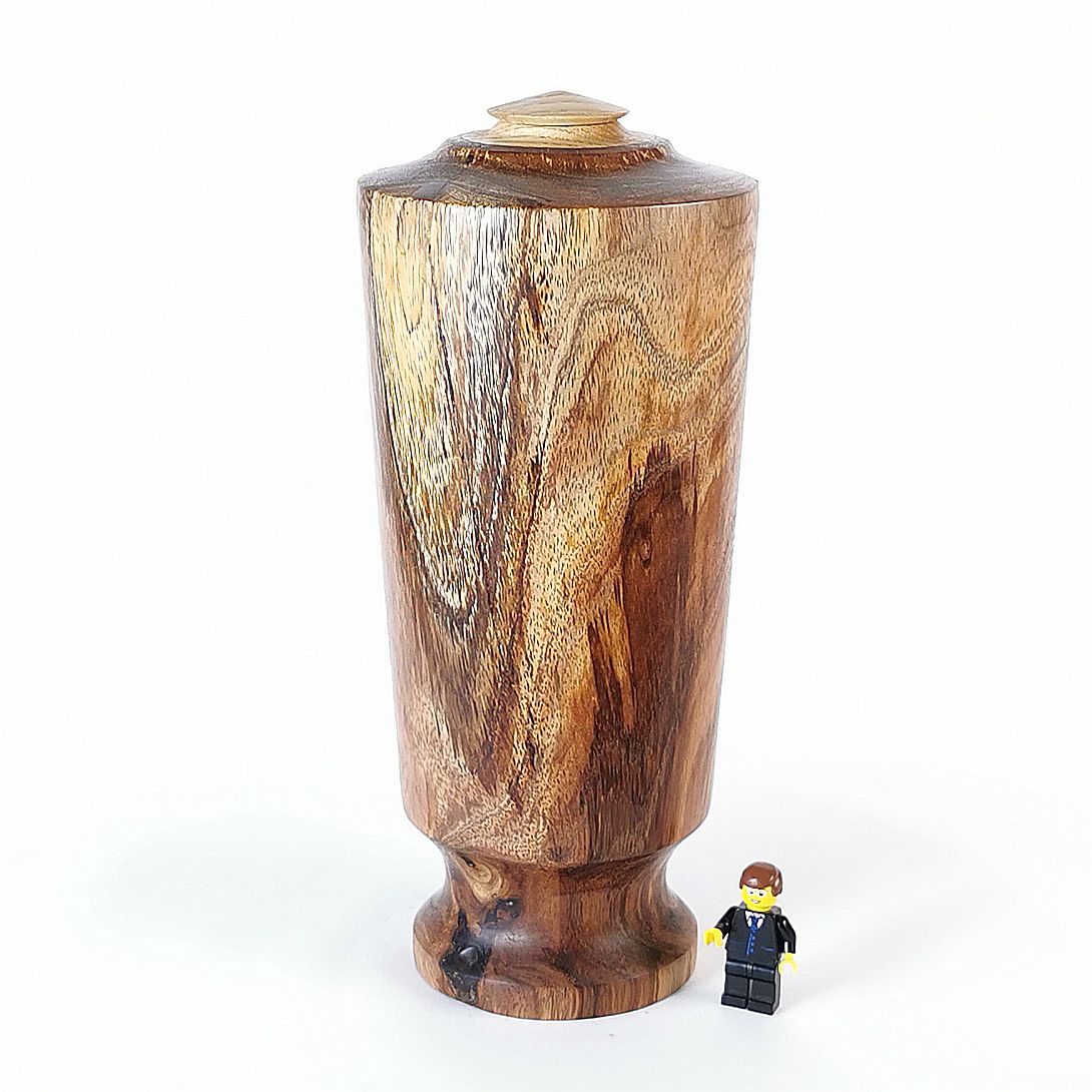 Tasman Trophy
