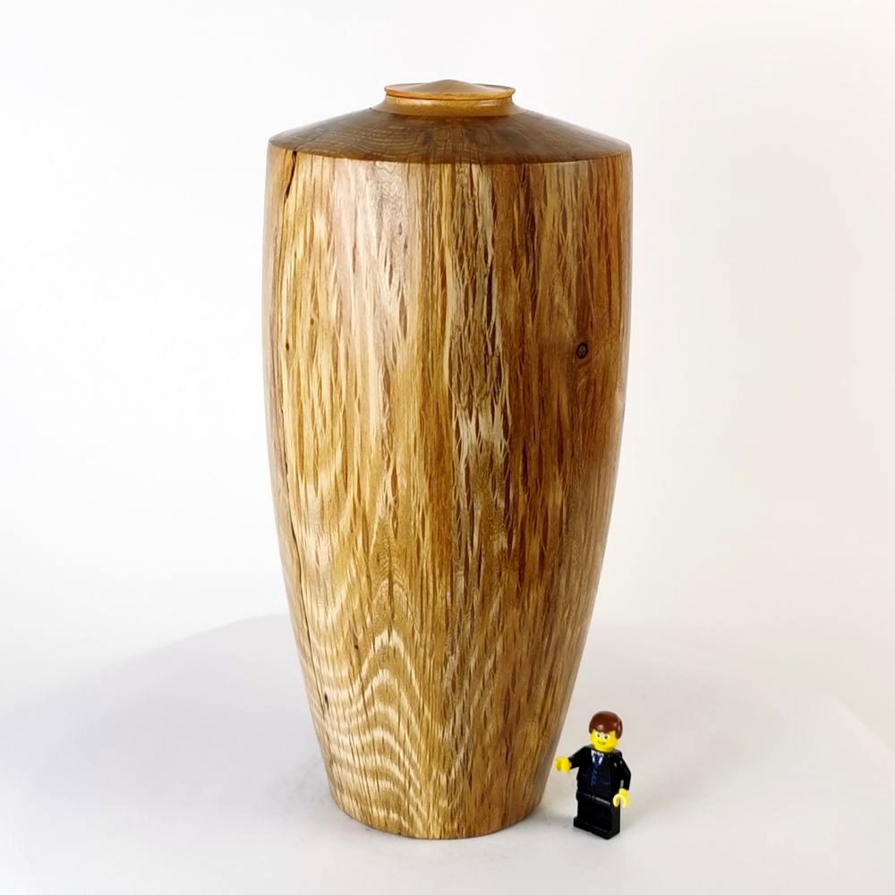 Simple Sheoak