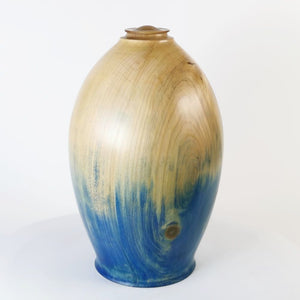 Blue Cypress