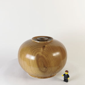 Exquisite Elm