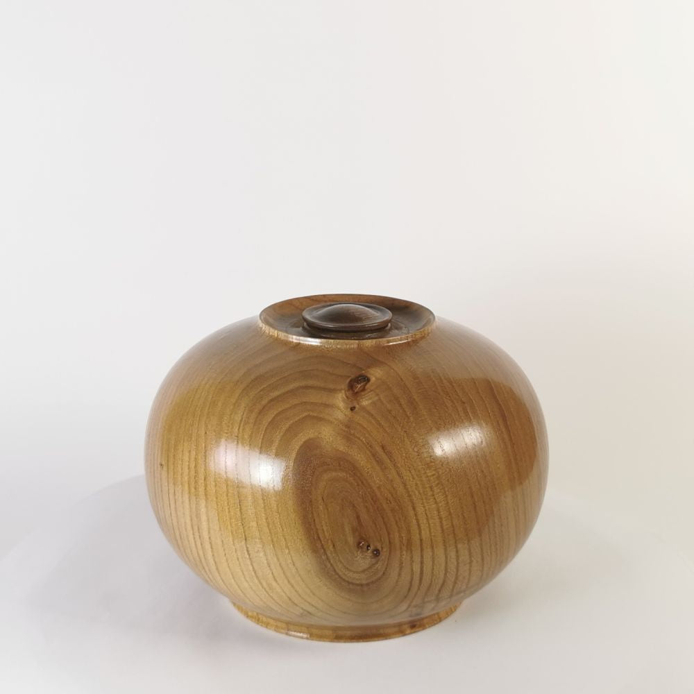 Exquisite Elm
