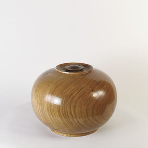 Exquisite Elm