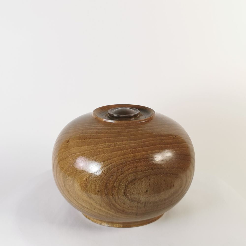 Exquisite Elm