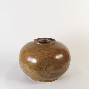 Exquisite Elm