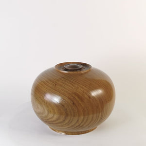 Exquisite Elm