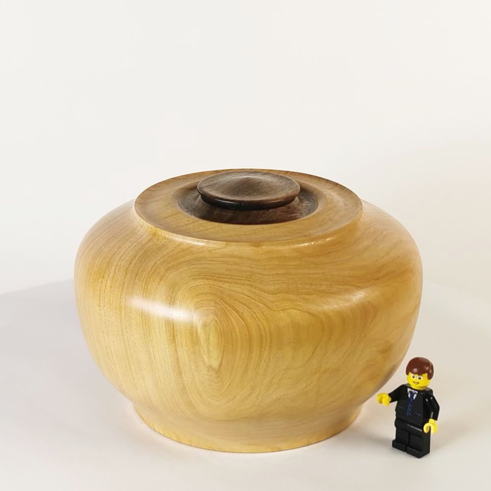 Cypress Simplicity