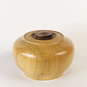 Cypress Simplicity