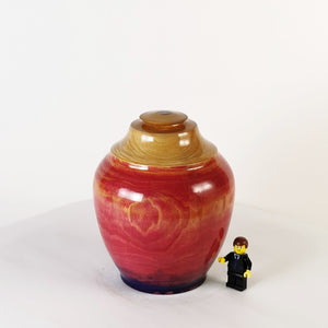 Tiny Treasure