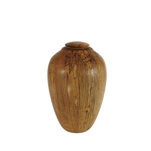 Spalted Splendour