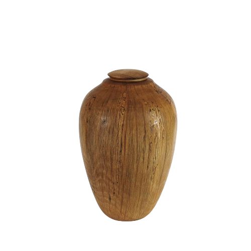 Spalted Splendour