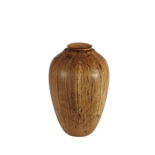 Spalted Splendour